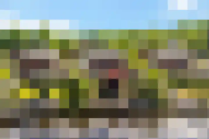 De Weech 9 Luxwoude thumbnail 22