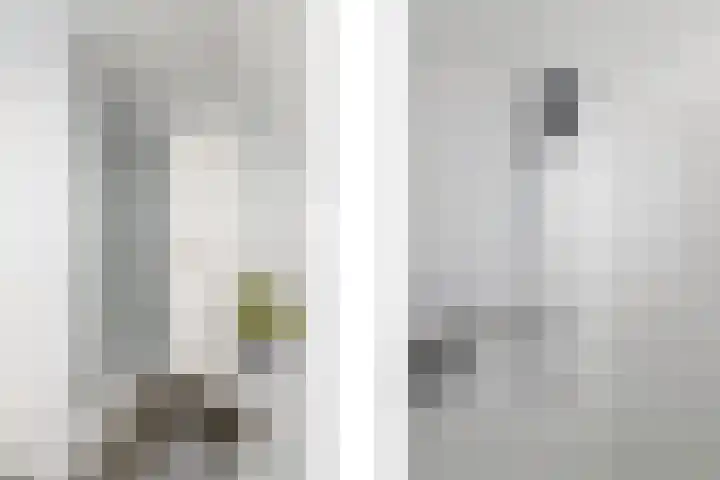 De Weech 9 Luxwoude thumbnail 25