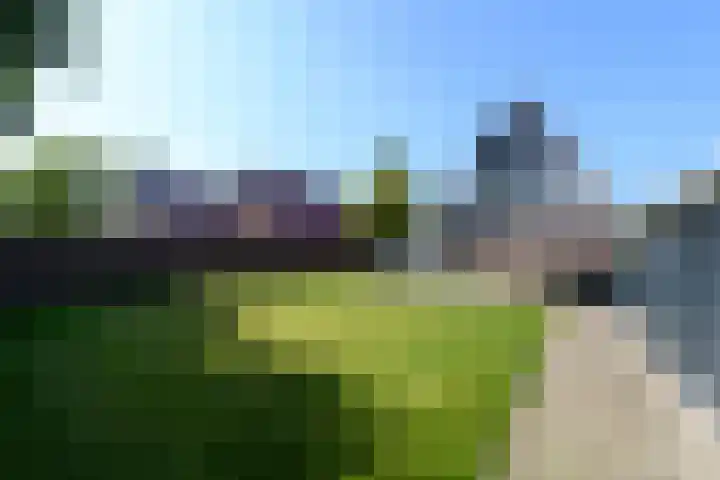 De Weech 9 Luxwoude thumbnail 26