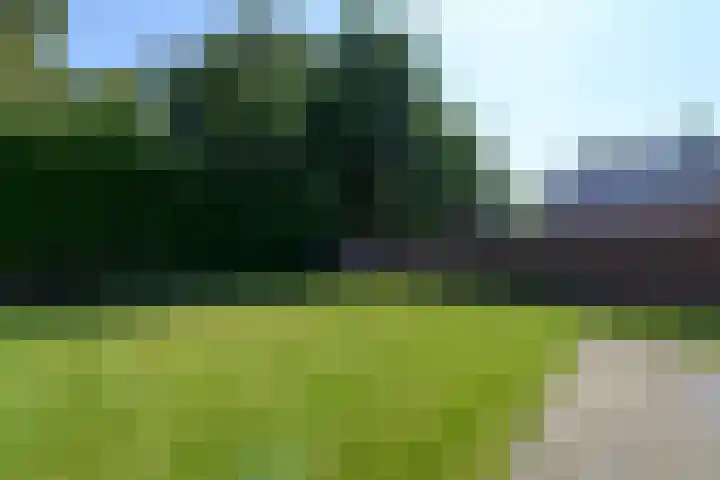 De Weech 9 Luxwoude thumbnail 30