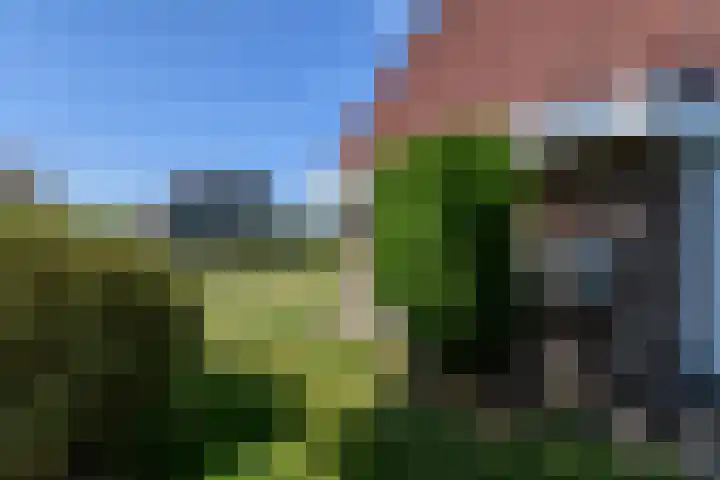 De Weech 9 Luxwoude thumbnail 35