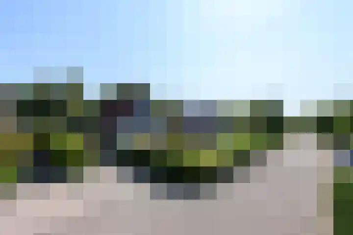 De Weech 9 Luxwoude thumbnail 38