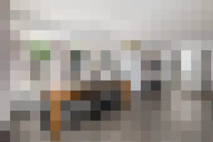 De Weech 9 Luxwoude thumbnail 8