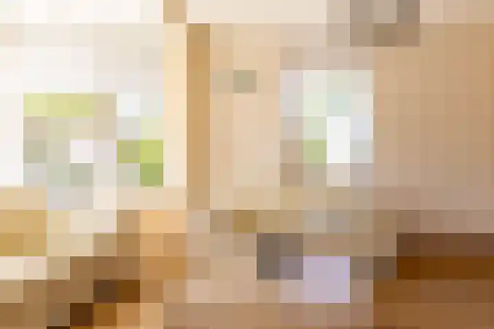 De Weed 19 Lutjebroek thumbnail 15