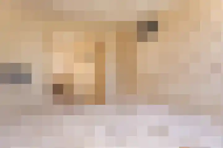 De Weed 19 Lutjebroek thumbnail 22