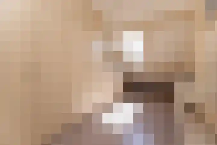 De Weed 19 Lutjebroek thumbnail 26