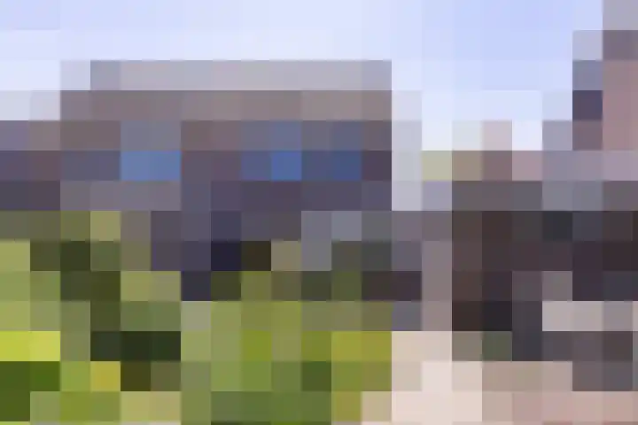 De Weed 19 Lutjebroek thumbnail 36