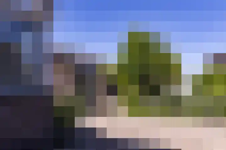 De Weed 19 Lutjebroek thumbnail 37