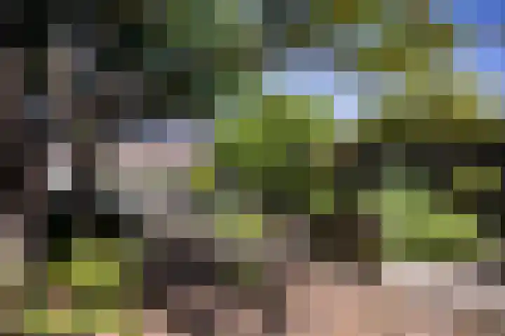 De Weed 19 Lutjebroek thumbnail 39