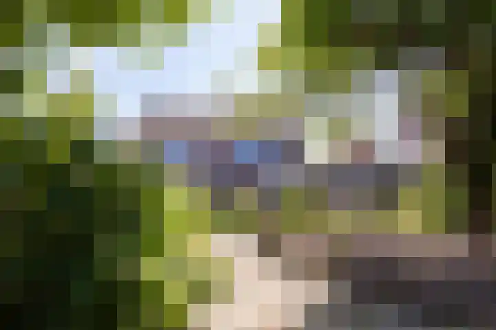 De Weed 19 Lutjebroek thumbnail 41
