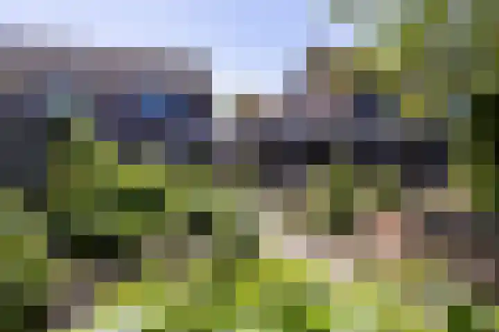De Weed 19 Lutjebroek thumbnail 42