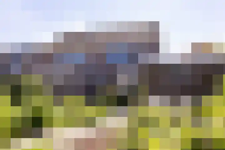 De Weed 19 Lutjebroek thumbnail 43