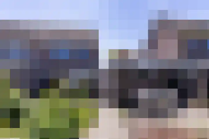 De Weed 19 Lutjebroek thumbnail 44