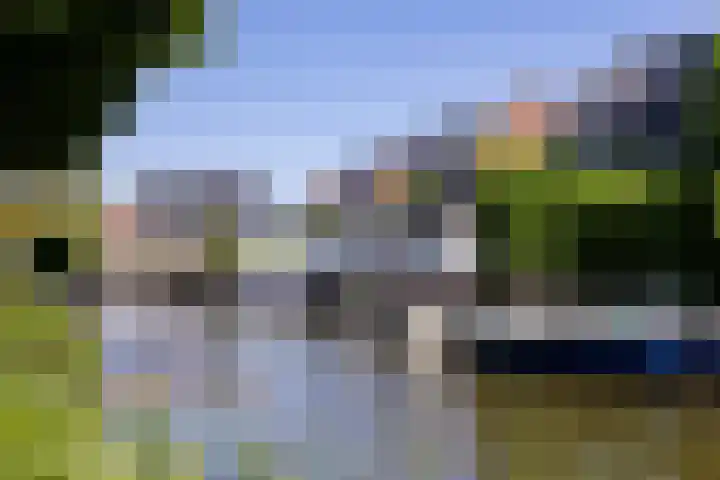 De Weed 19 Lutjebroek thumbnail 45