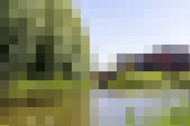 De Weed 19 Lutjebroek thumbnail 46