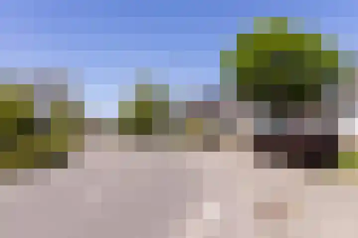 De Weed 19 Lutjebroek thumbnail 47