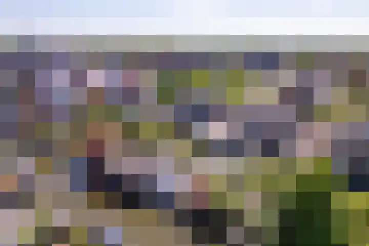 De Weed 19 Lutjebroek thumbnail 48