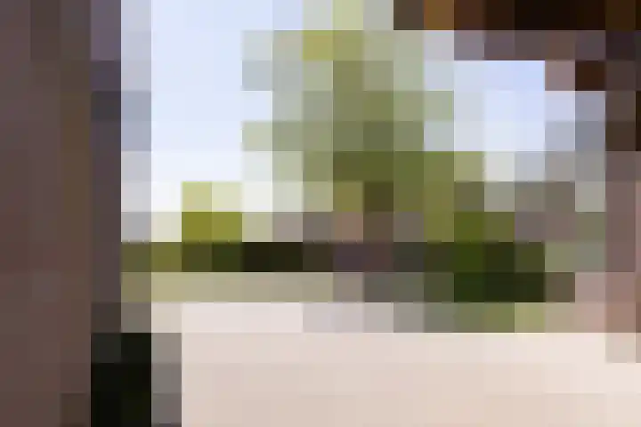 De Weed 19 Lutjebroek thumbnail 8