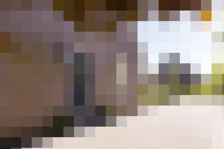 De Weed 19 Lutjebroek thumbnail 9