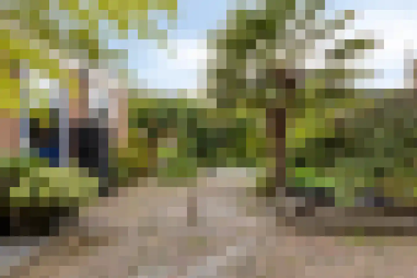 De Weed 36 Lutjebroek thumbnail 31