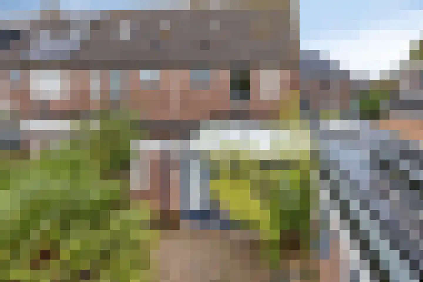 De Weed 36 Lutjebroek thumbnail 34