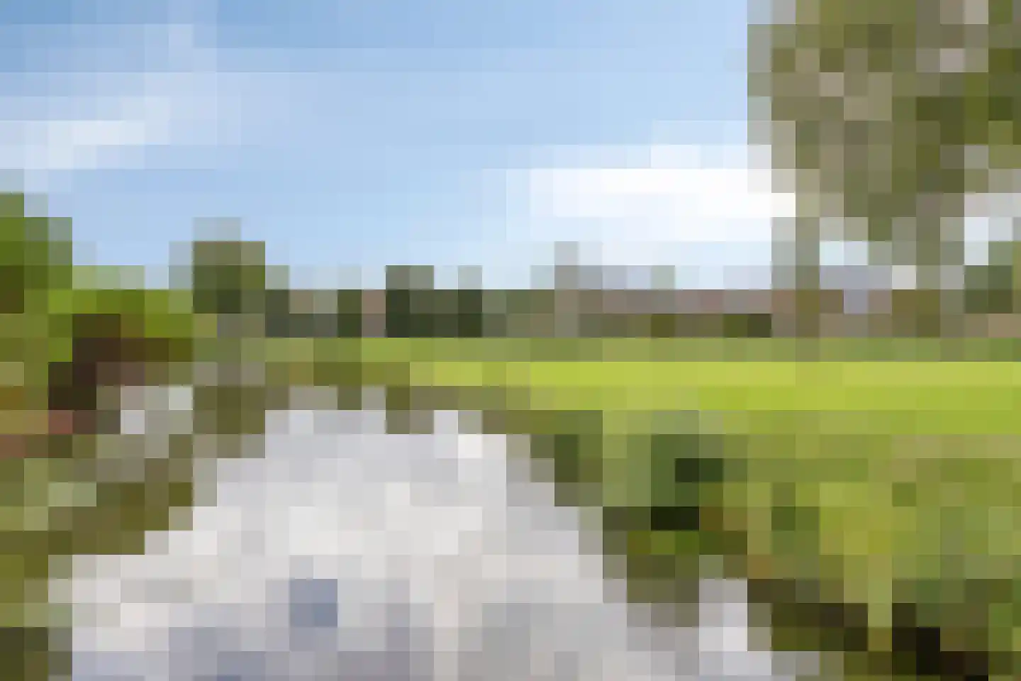 De Weed 36 Lutjebroek thumbnail 37