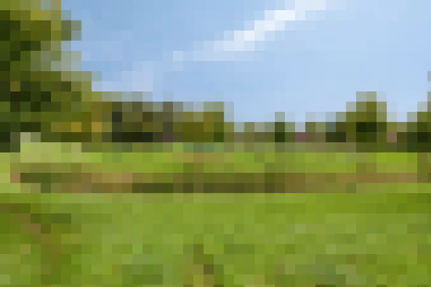 De Weed 36 Lutjebroek thumbnail 39