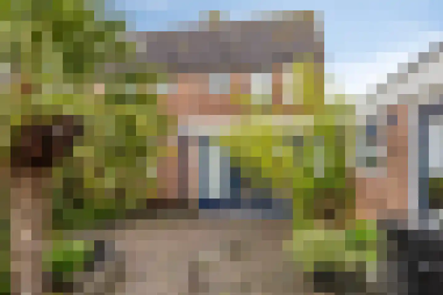 De Weed 36 Lutjebroek thumbnail 4