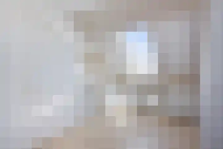 De Weed 72 Lutjebroek thumbnail 25