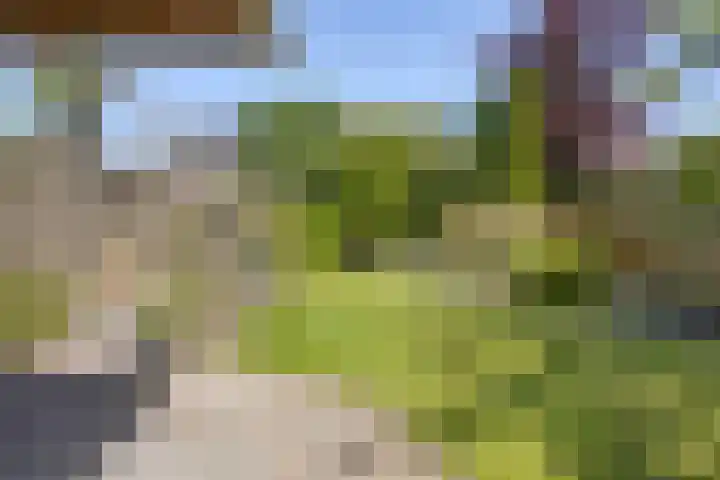 De Weed 72 Lutjebroek thumbnail 36