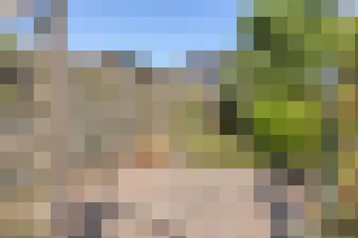 De Weed 72 Lutjebroek thumbnail 38