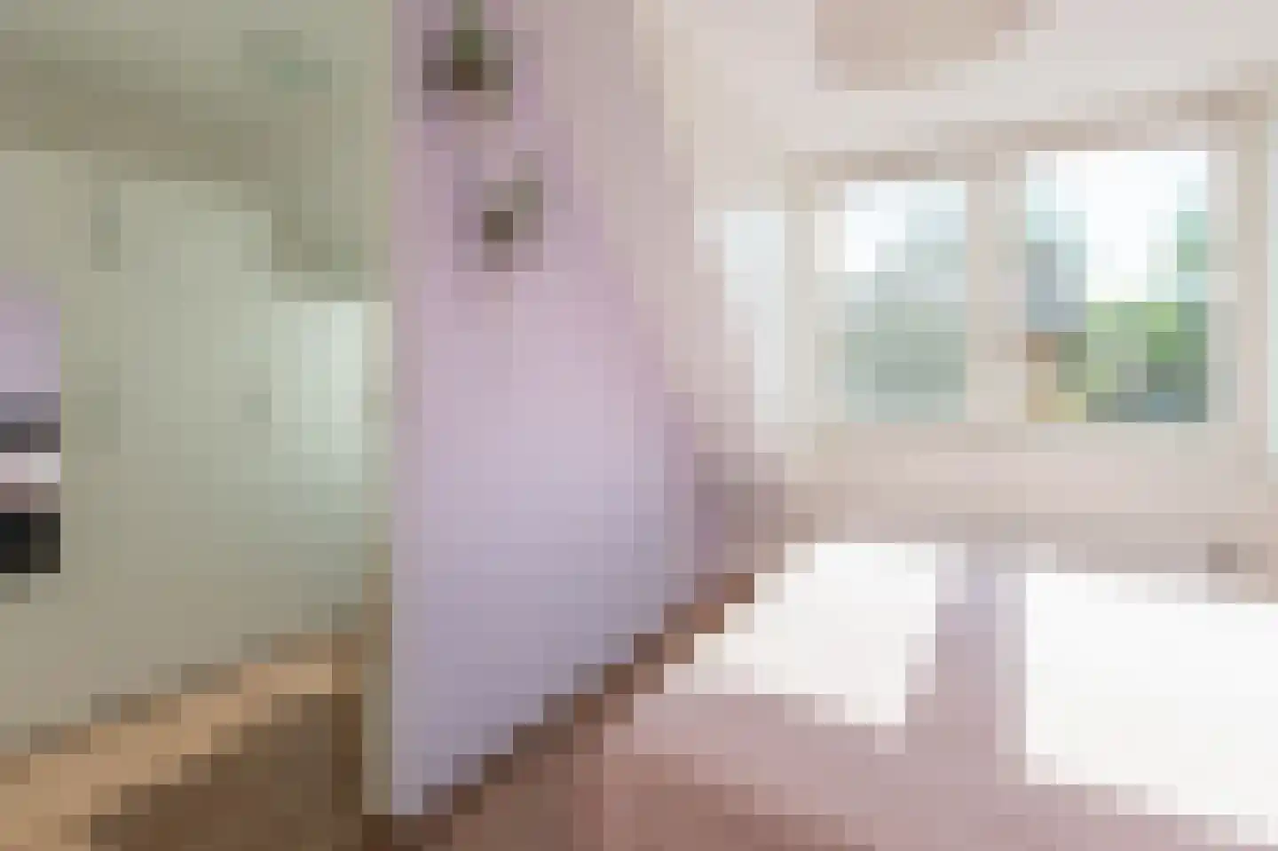 De Weefstoel 14 Waalre thumbnail 14