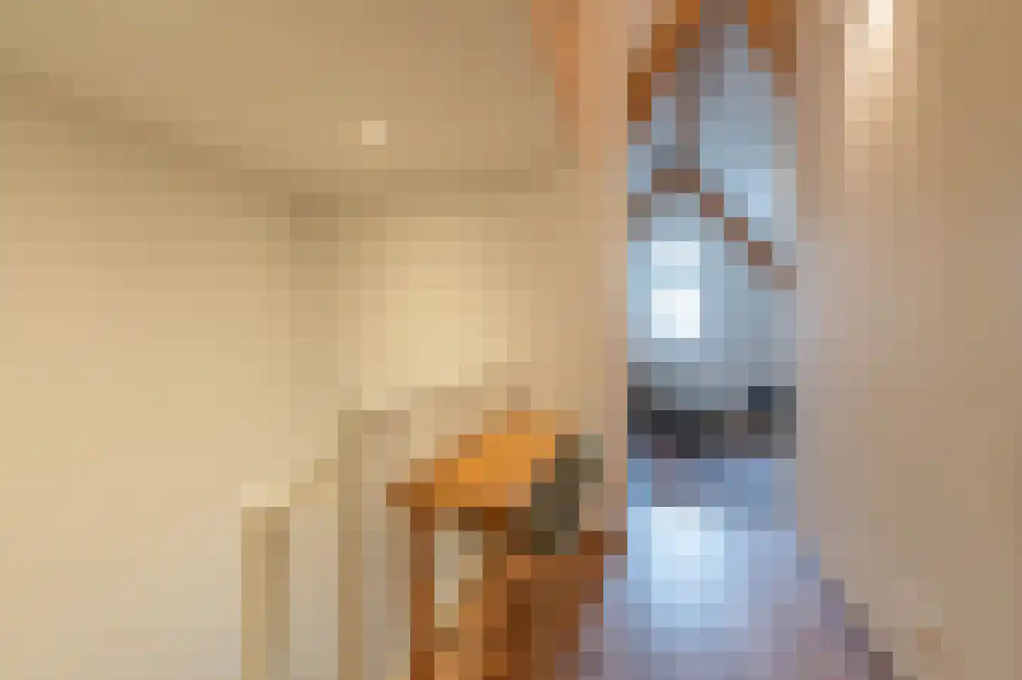 De Weefstoel 14 Waalre thumbnail 21