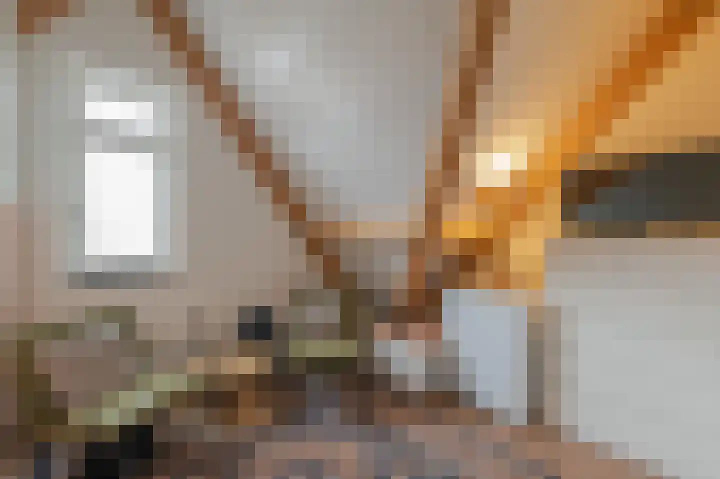 De Weefstoel 14 Waalre thumbnail 22