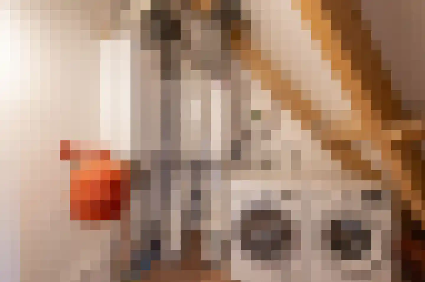 De Weefstoel 14 Waalre thumbnail 25