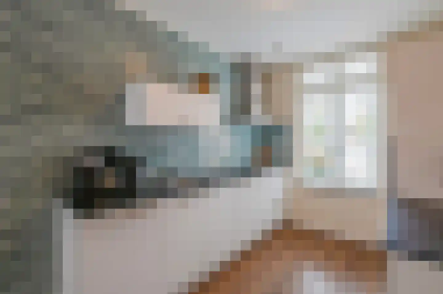 De Weefstoel 14 Waalre thumbnail 4