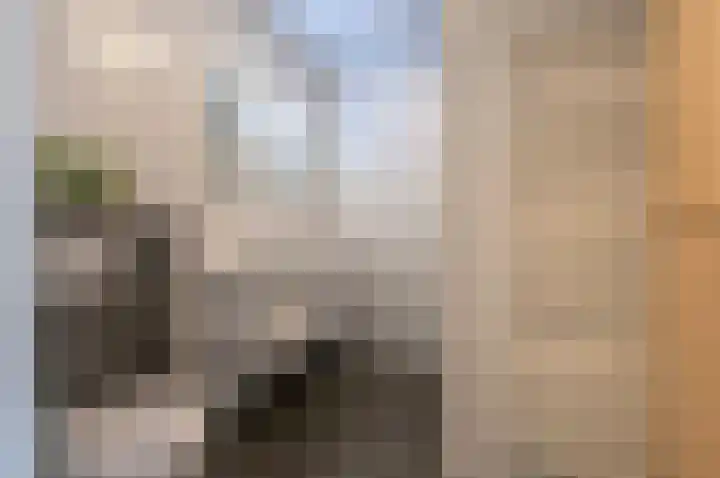 De Weefstoel 16 Waalre thumbnail 14
