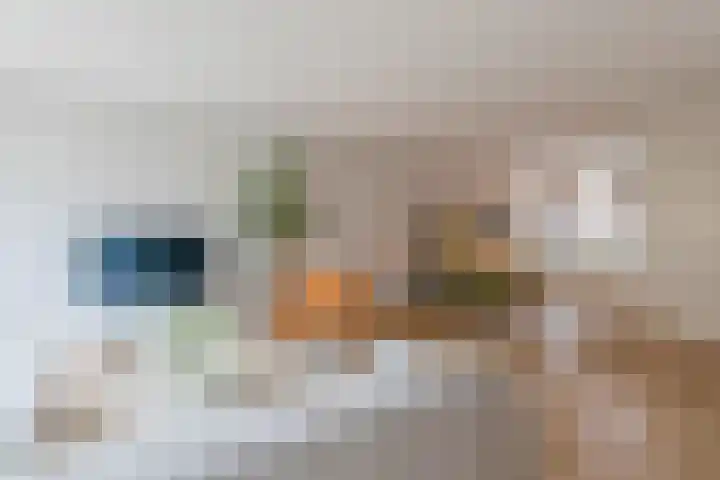 De Weefstoel 16 Waalre thumbnail 6