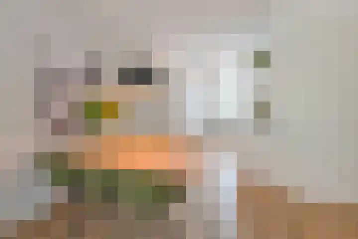 De Weefstoel 16 Waalre thumbnail 8