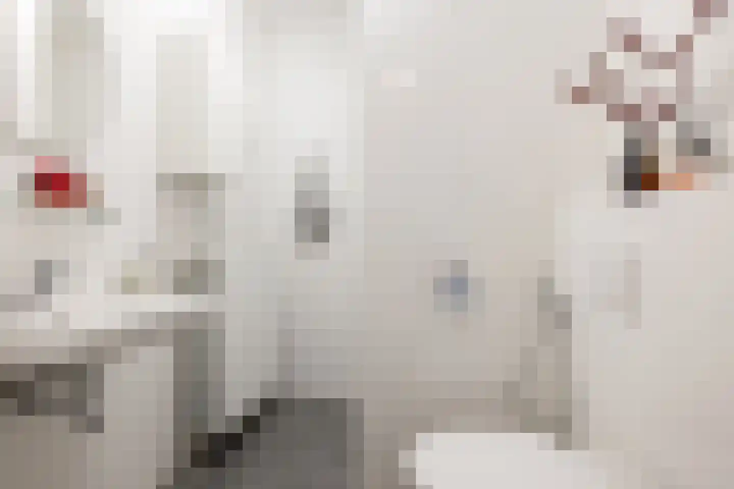 De Weefstoel 32 Waalre thumbnail 19