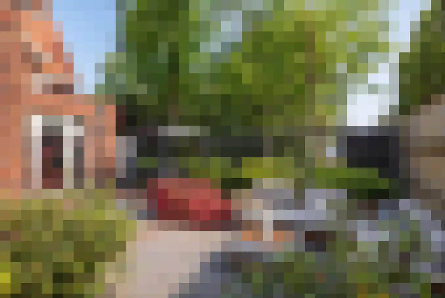 De Weefstoel 32 Waalre thumbnail 34