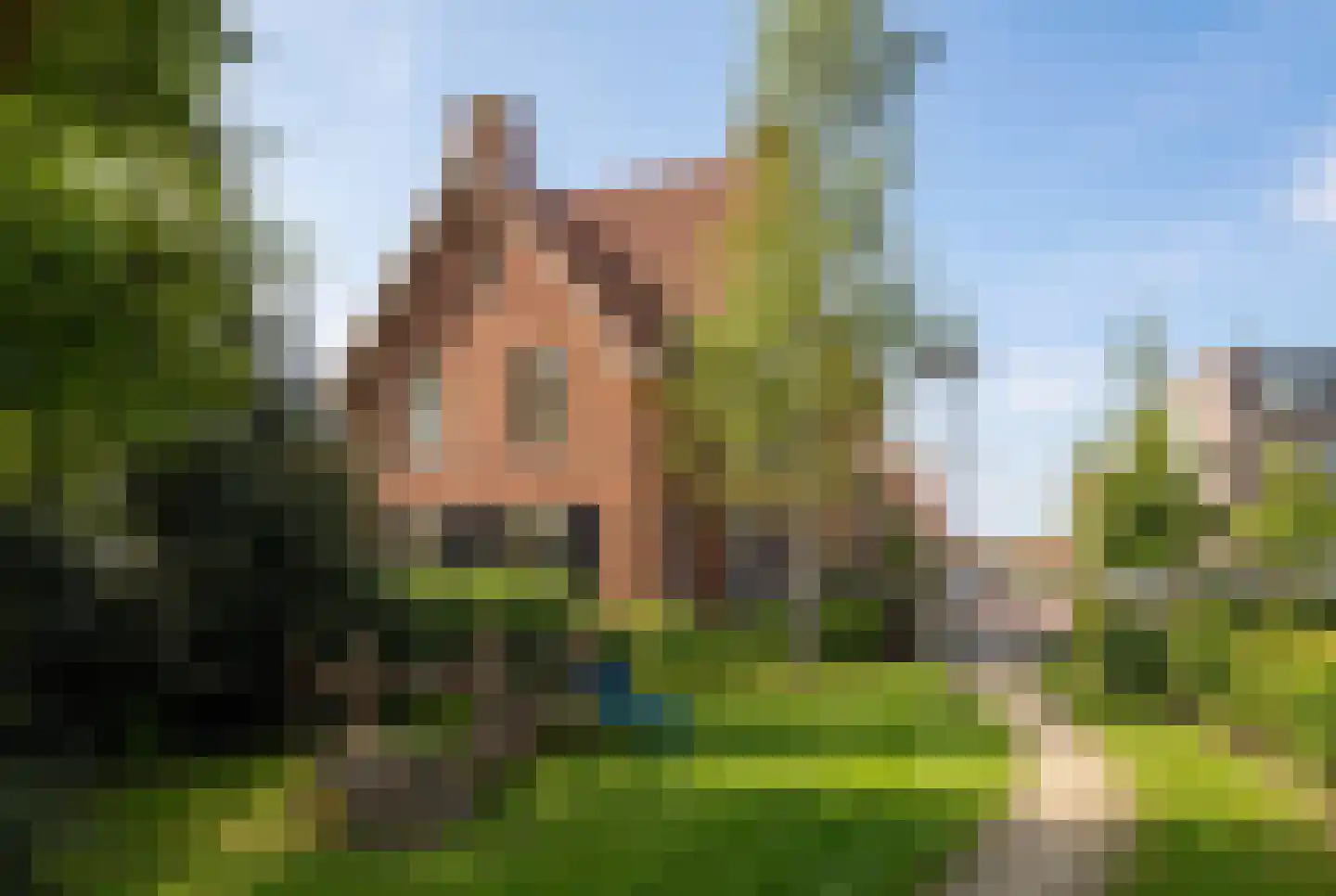 De Weefstoel 32 Waalre thumbnail 38