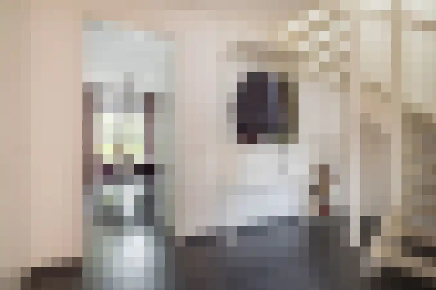 De Weefstoel 32 Waalre thumbnail 7