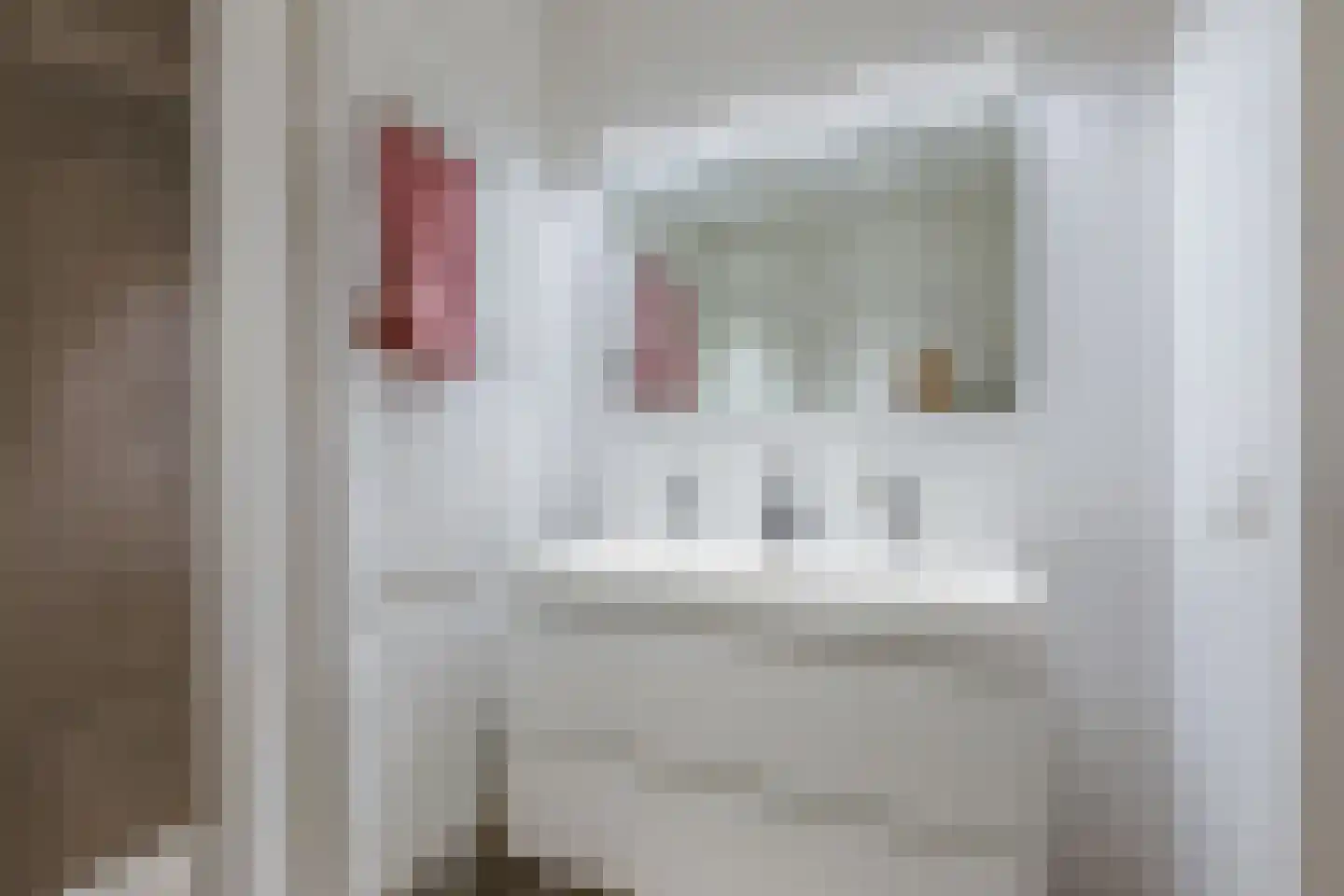 De Weefstoel 6 Waalre thumbnail 19