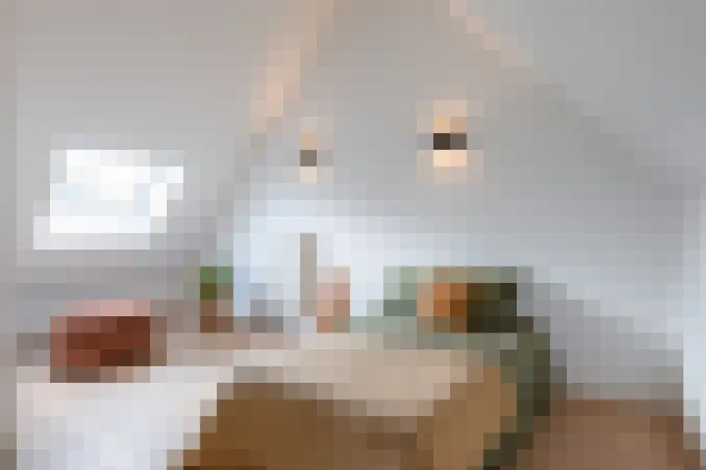 De Weefstoel 6 Waalre thumbnail 25