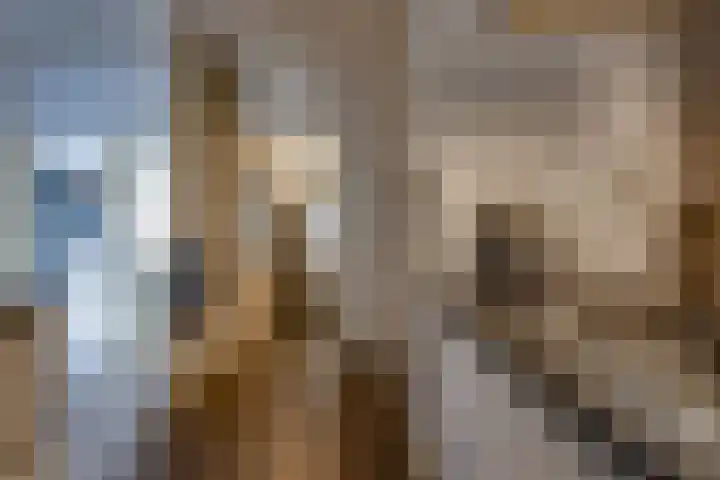 De Weegbree 22 Stadskanaal thumbnail 16