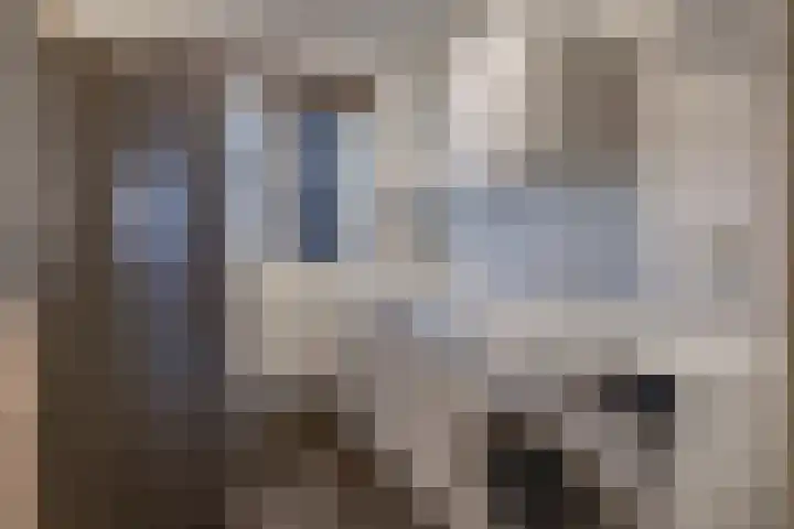 De Weegbree 22 Stadskanaal thumbnail 17