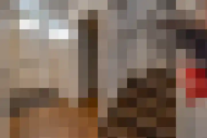 De Weegbree 22 Stadskanaal thumbnail 22