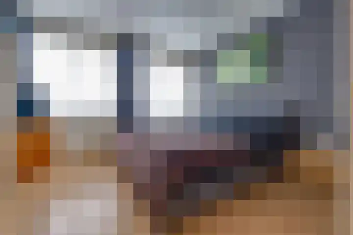 De Weegbree 22 Stadskanaal thumbnail 28