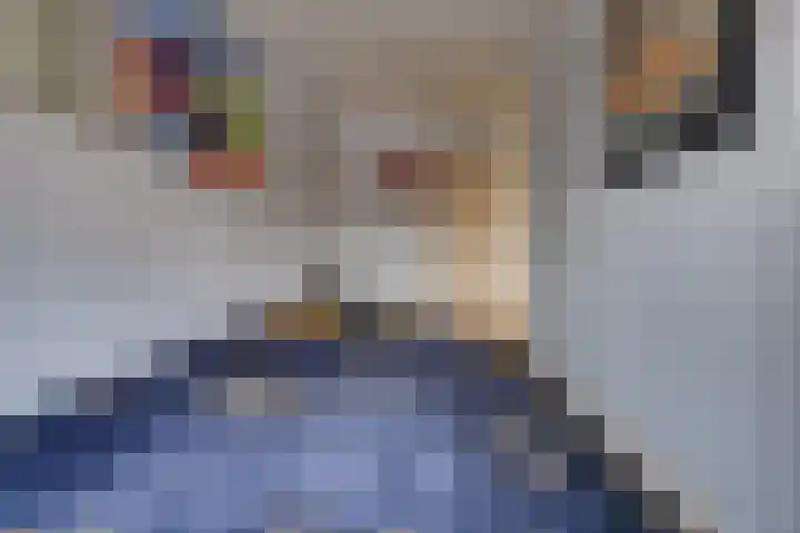 De Weegbree 22 Stadskanaal thumbnail 32